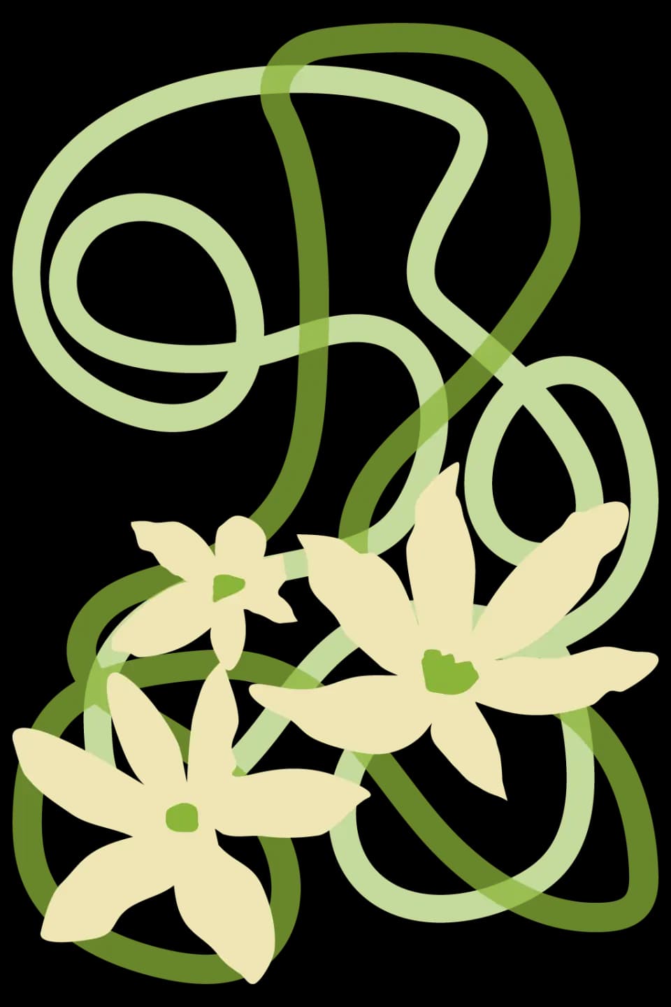 FESTIVAL DE MARSEILLE