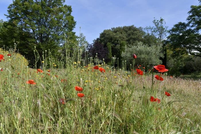 DU PARC BORTOLI AU PARC BORELY
Visite balade « Trame verte - Patrimoine végétal »